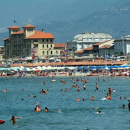 Dolly Viareggio