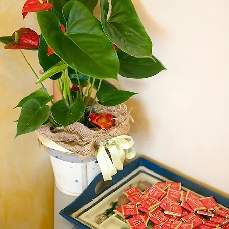 Hotel Dolly Viareggio